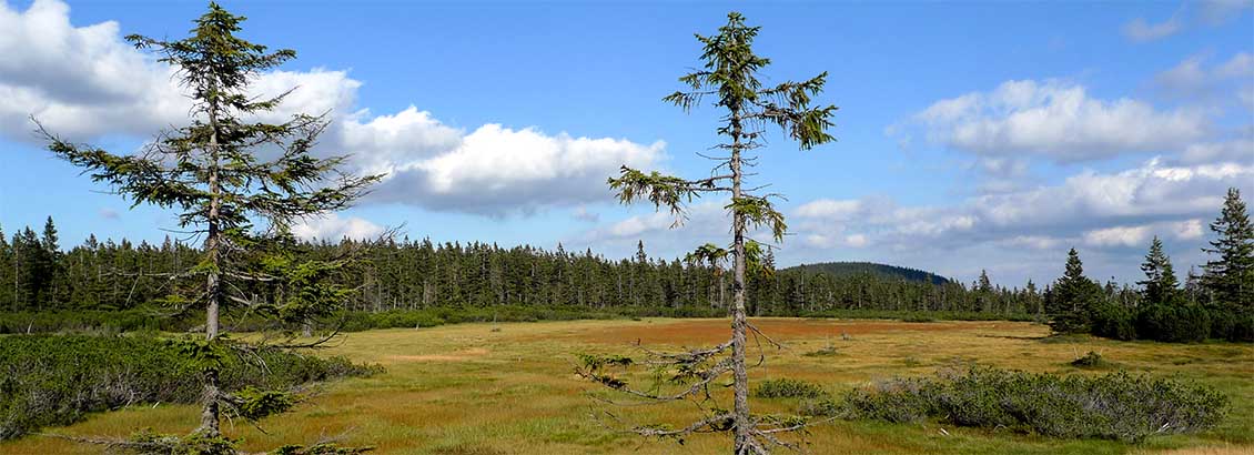 Turistická trasa: Pec pod Sněžkou – Horní Maršov